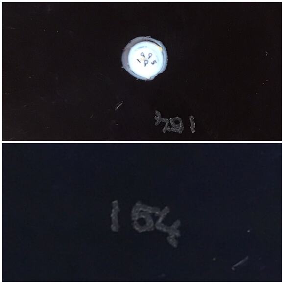 Perthshire 1995D Daisies Lampwork Flower Millefiori Garland Faceted Paperweight - Picture 6 of 16